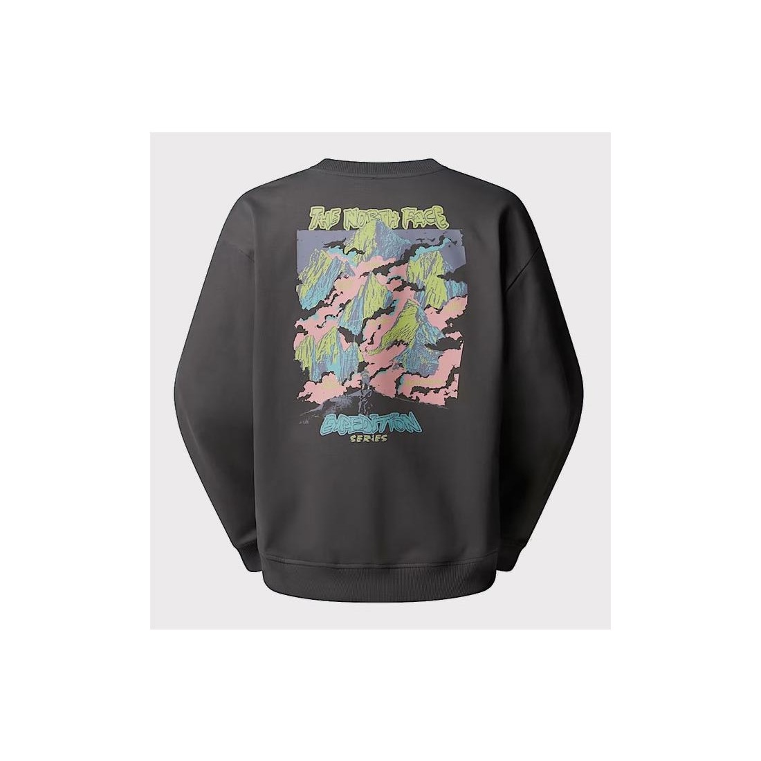THE NORTH FACE EXPED CELEB SWT GRIS