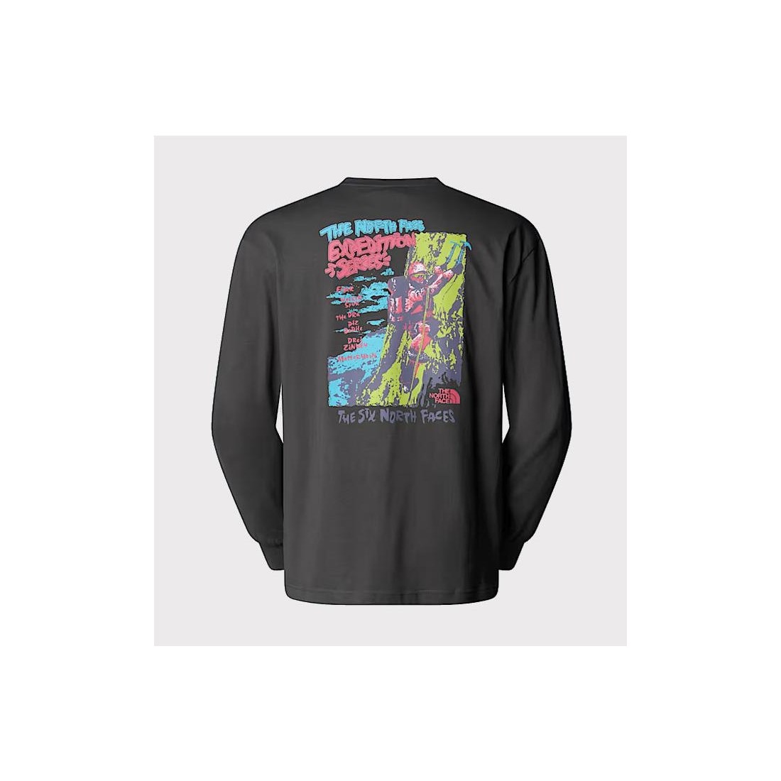 THE NORTH FACE EXPEDITION LS GRIS