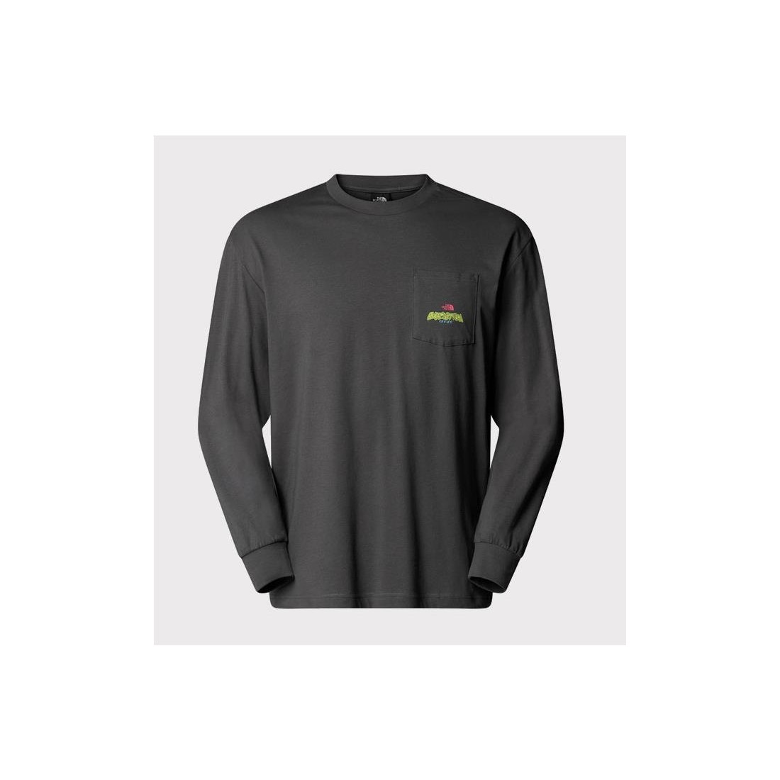THE NORTH FACE EXPEDITION LS GRIS