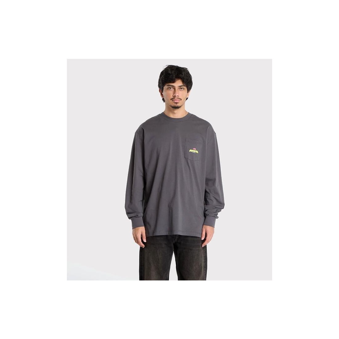 THE NORTH FACE EXPEDITION LS GRIS