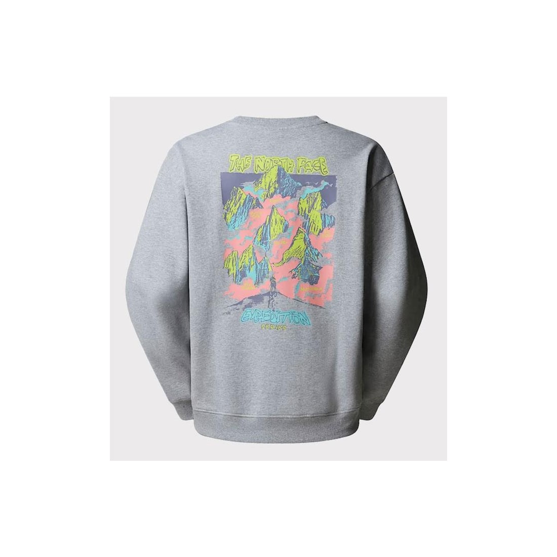 THE NORTH FACE EXPEDITION HDIE GRIS
