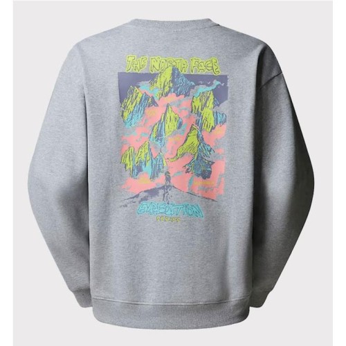 THE NORTH FACE EXPEDITION HDIE GRIS