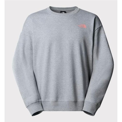 THE NORTH FACE EXPEDITION HDIE GRIS 2