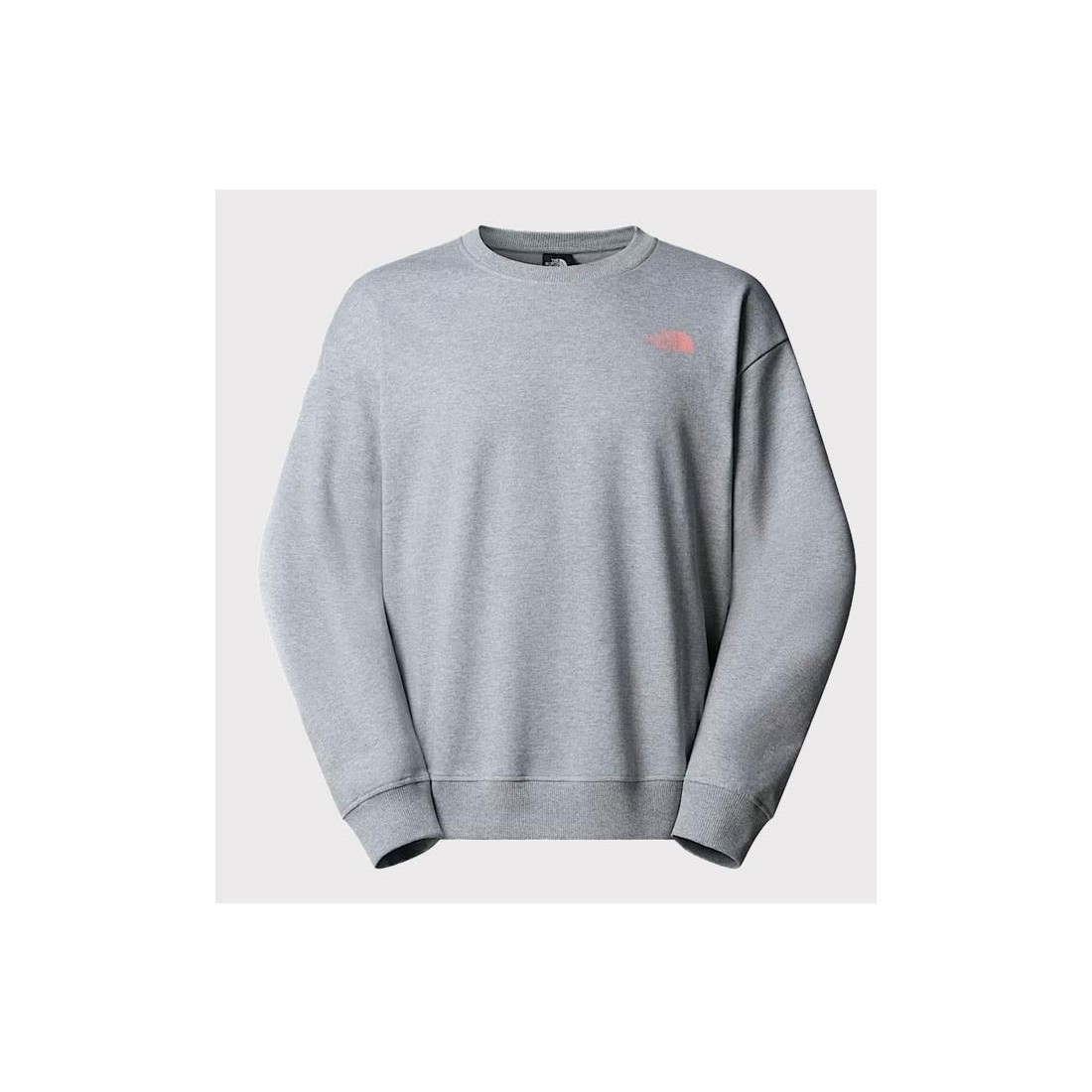 THE NORTH FACE EXPEDITION HDIE GRIS