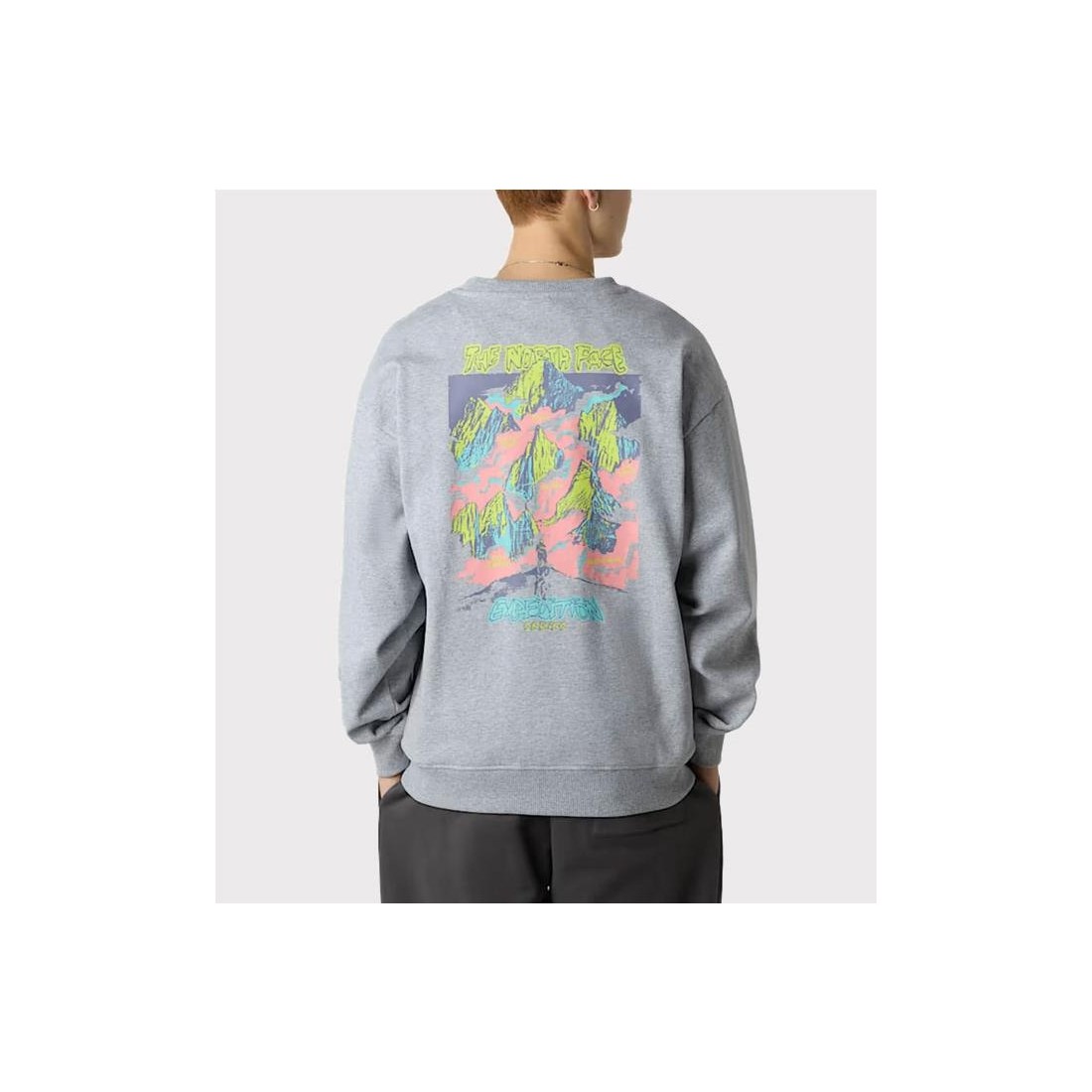 THE NORTH FACE EXPEDITION HDIE GRIS