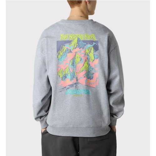 THE NORTH FACE EXPEDITION HDIE GRIS