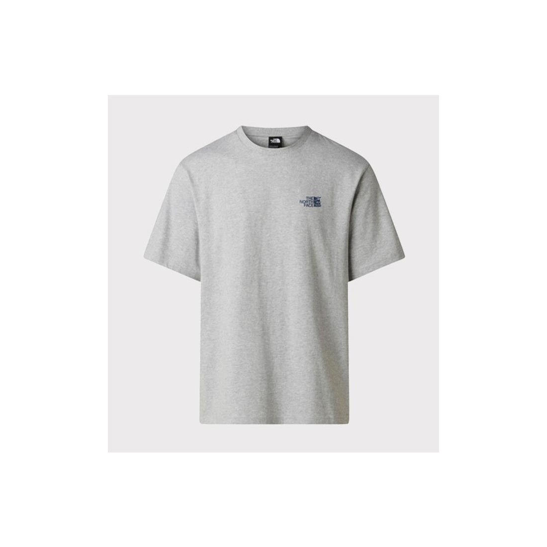 THE NORTH FACE GRAPHIC RUN TEE GRIS