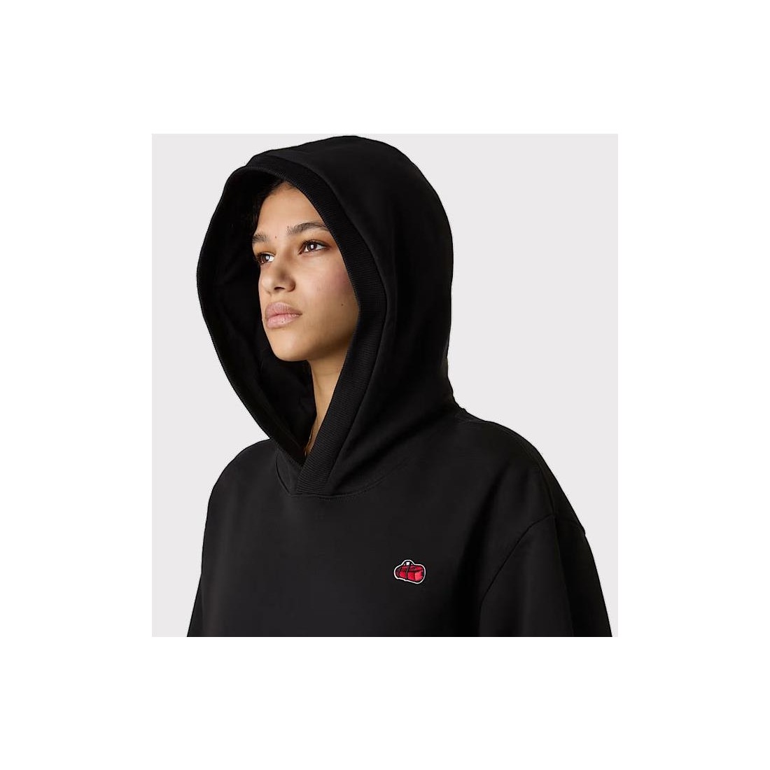 THE NORTH FACE ICON HOODIE NEGRO