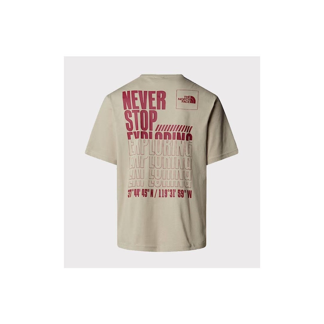 THE NORTH FACE COORDNT RLX TEE GRIS