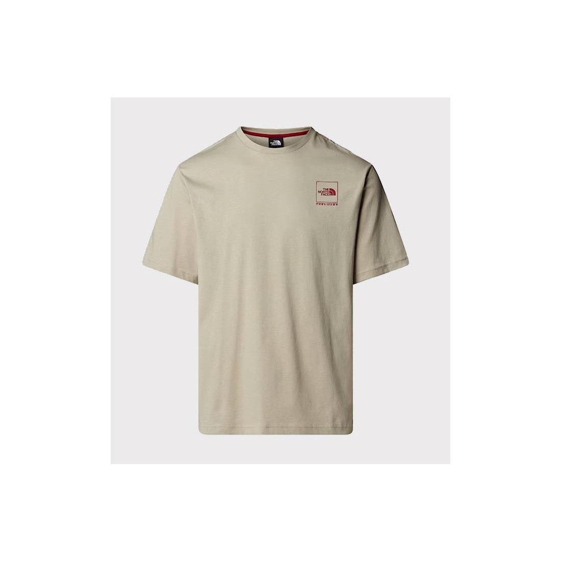 THE NORTH FACE COORDNT RLX TEE GRIS