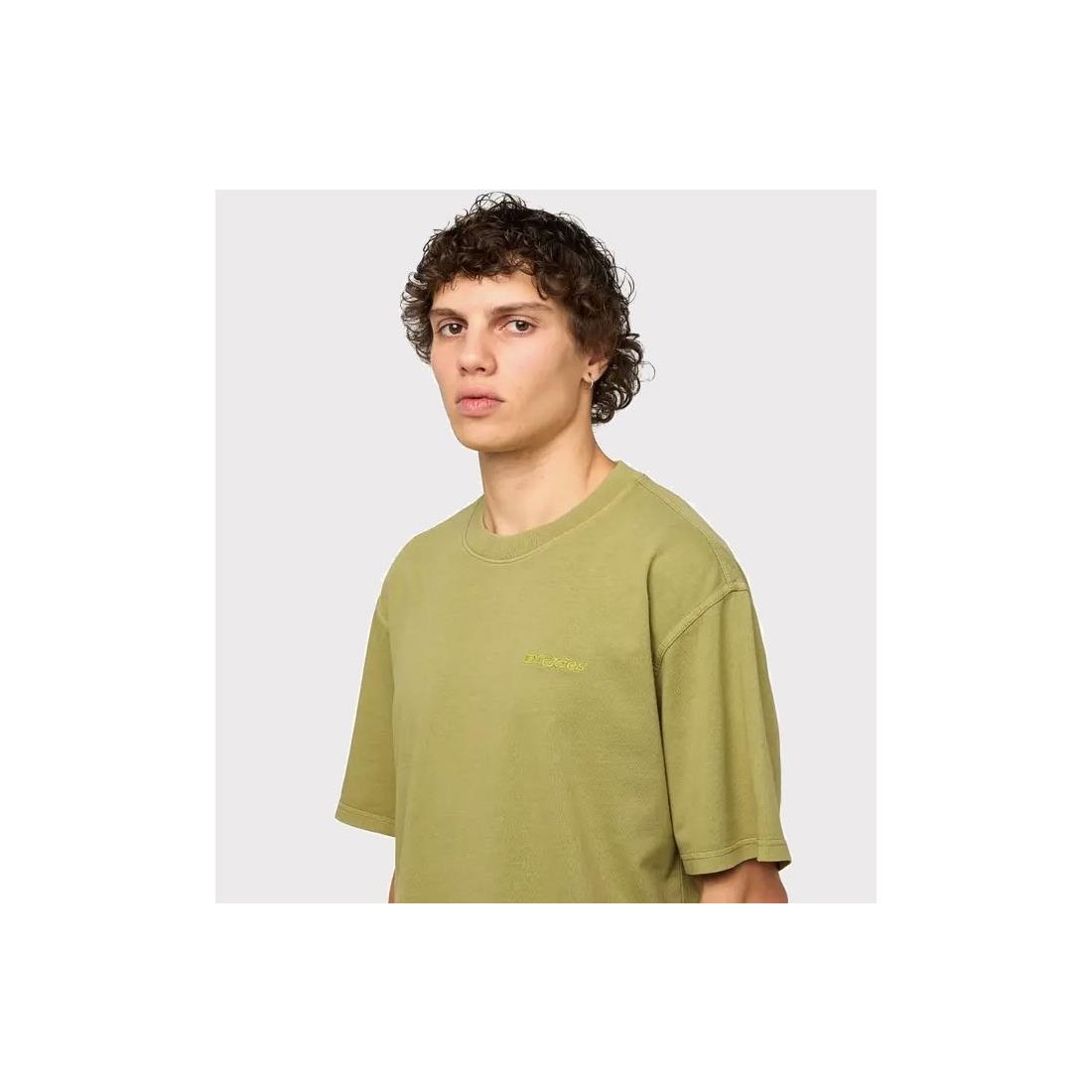 DICKIES PLENTYWOOD TEE MULTICOLOR