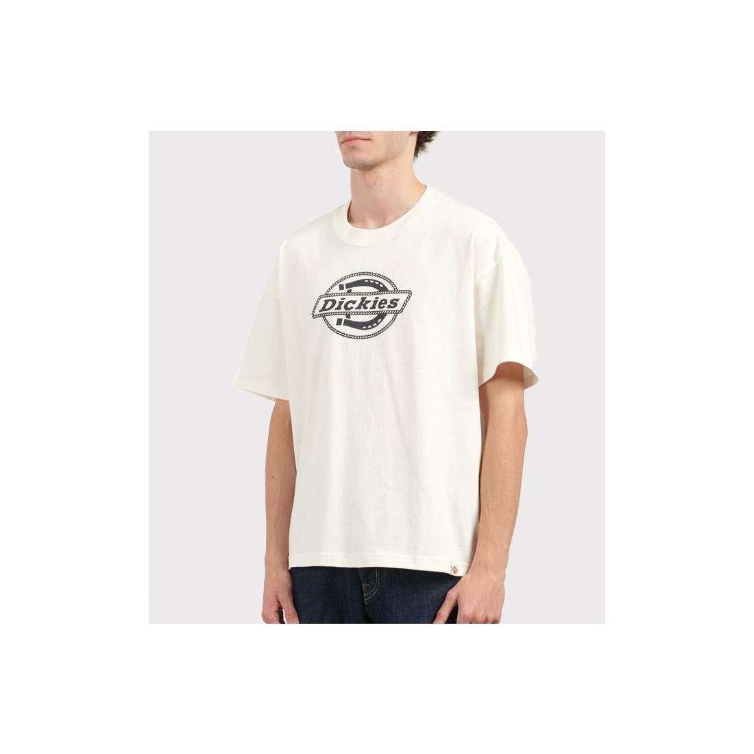 DICKIES FORTH SHAW TEE BEIGE