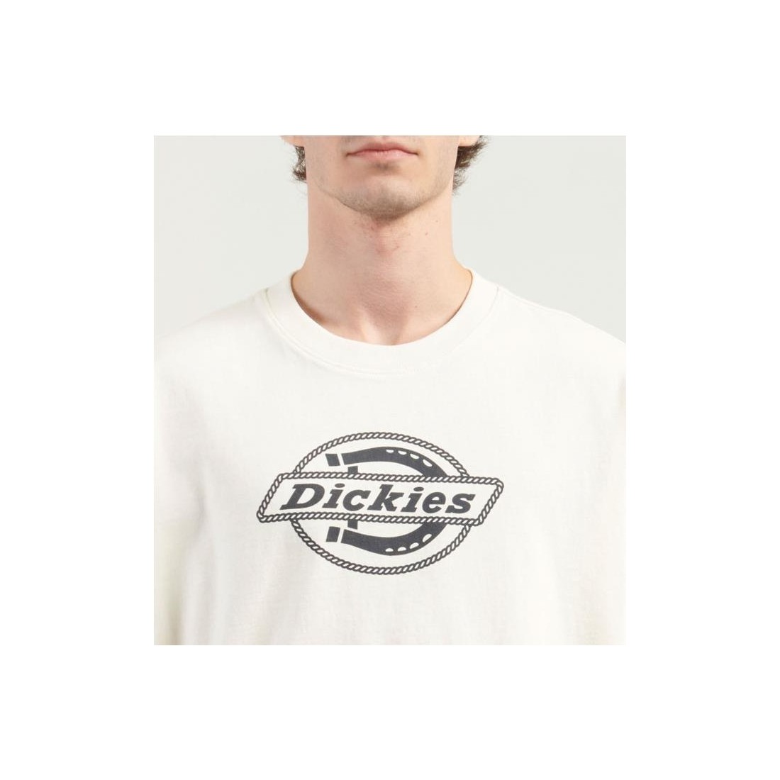 DICKIES FORTH SHAW TEE BEIGE