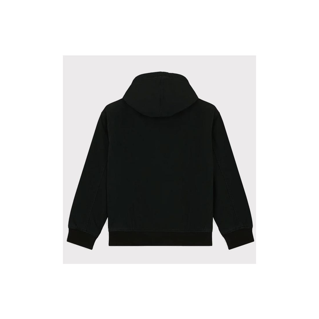 DICKIES HILHAM HOODED JACKET NEGRO
