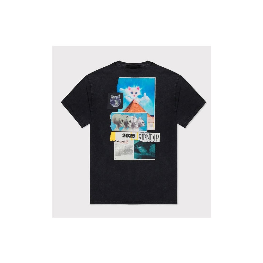 RIPNDIP NERM GEO TEE NEGRO