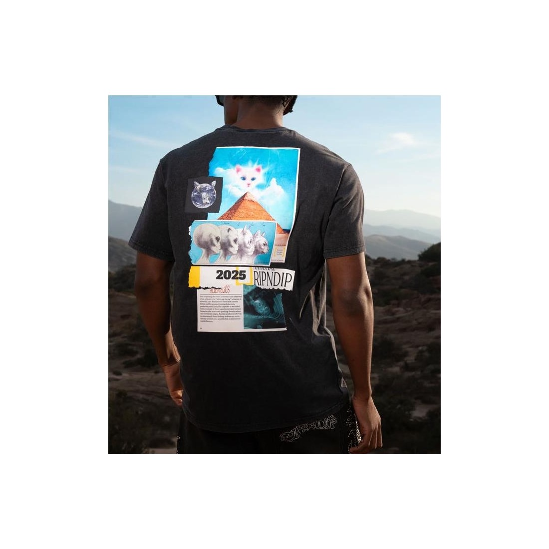 RIPNDIP NERM GEO TEE NEGRO