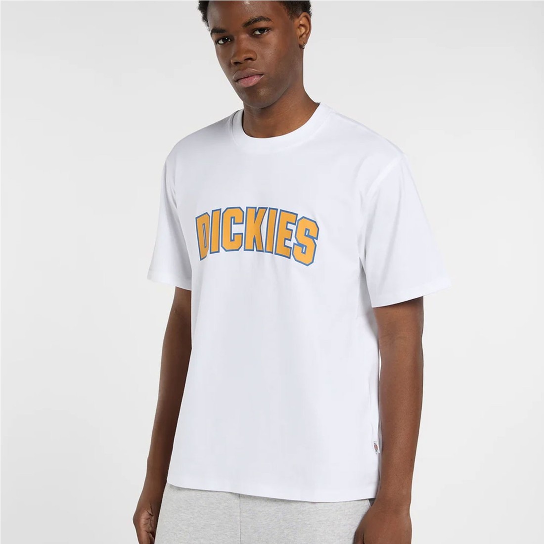 DICKIES AITKIN TEE BLANCO