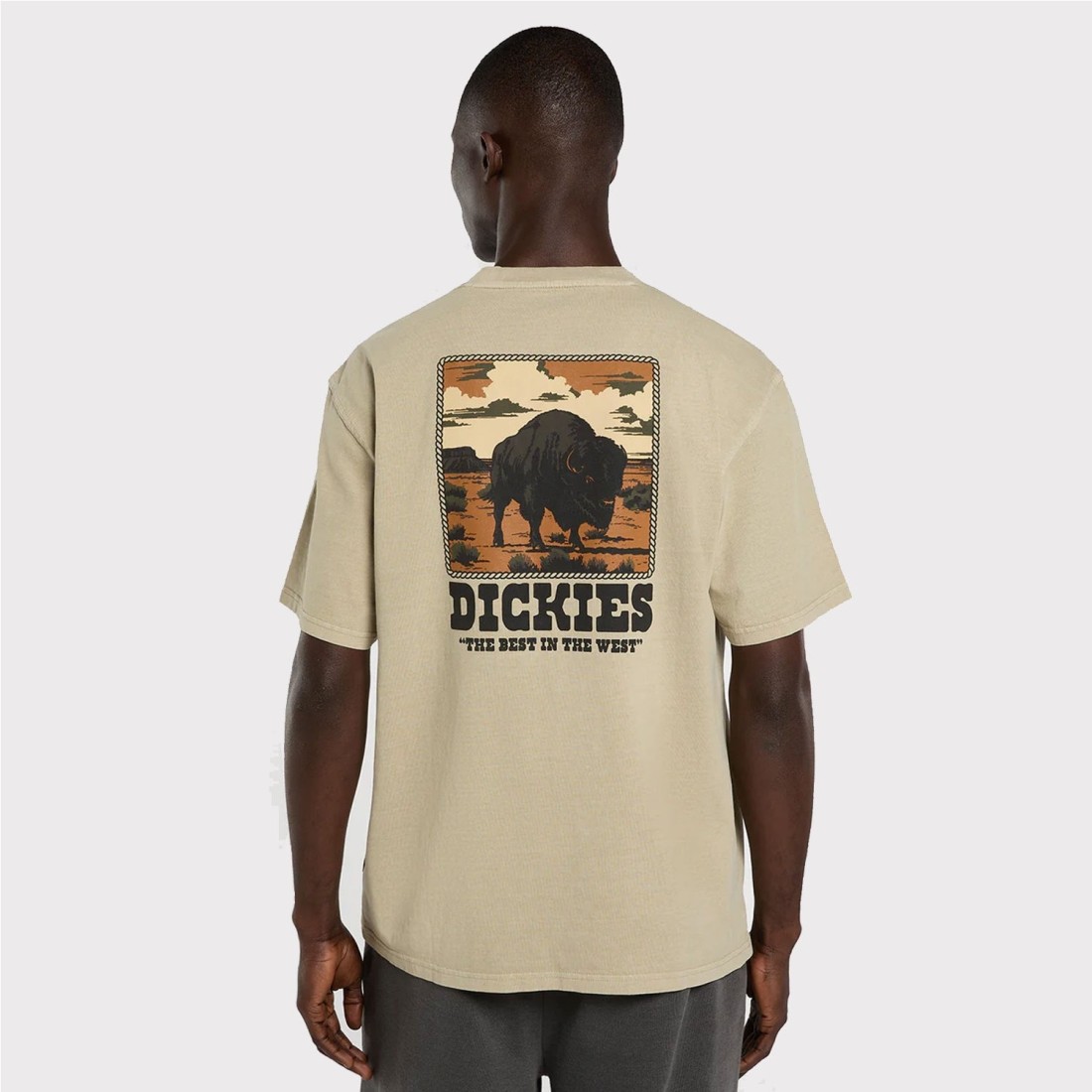 DICKIES DARRTOWN TEE BEIGE