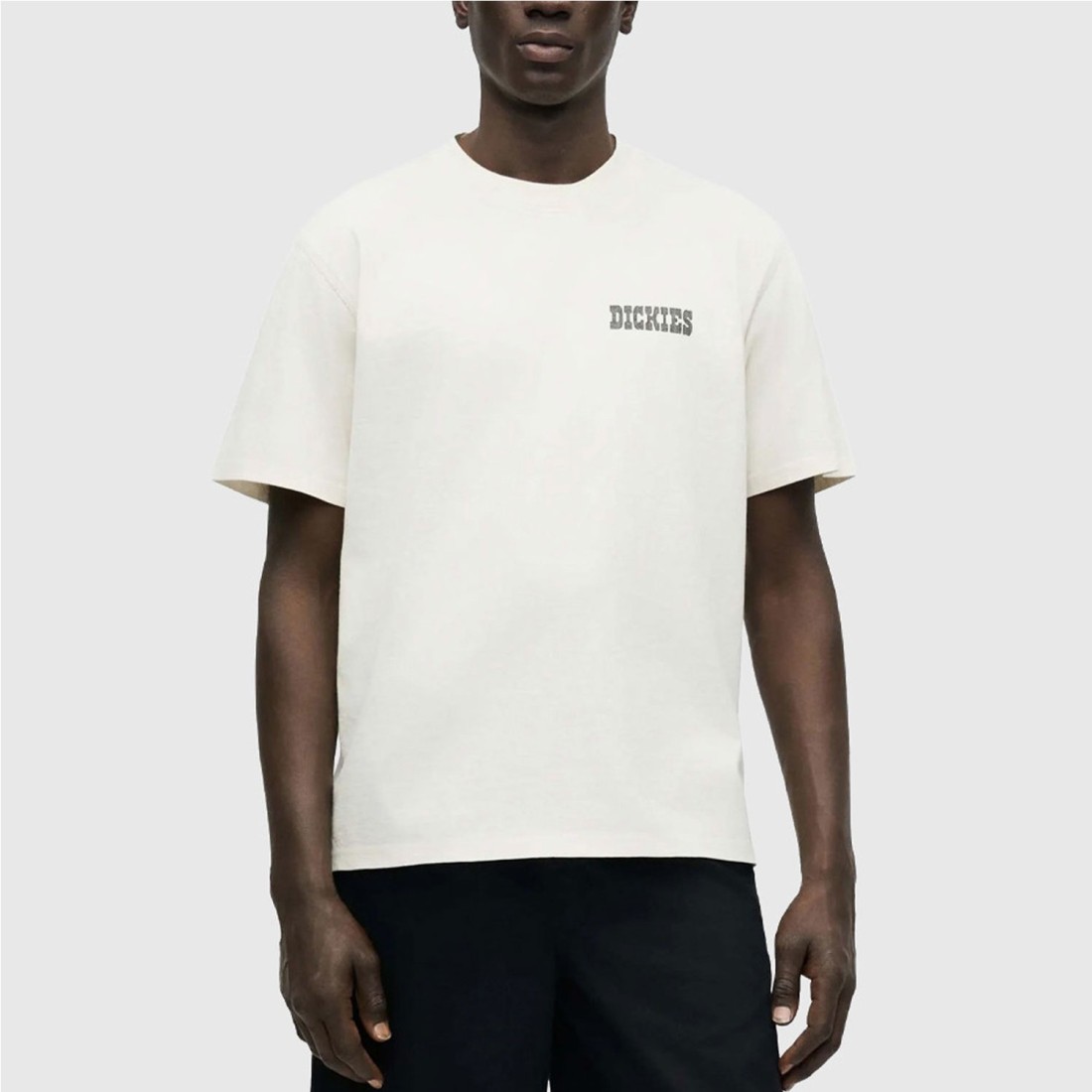 DICKIES BUCHTELL TEE BEIGE1