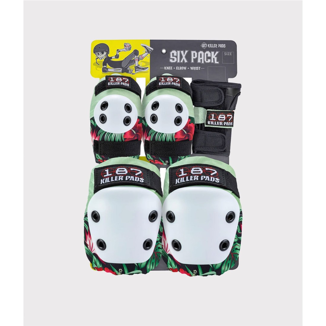 187 SIX PACK ADULT HIBISCUS