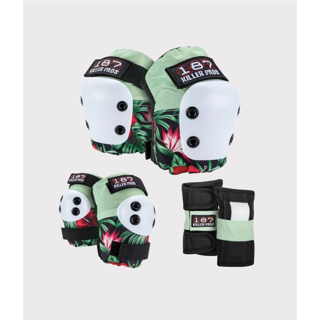 187 SIX PACK ADULT HIBISCUS