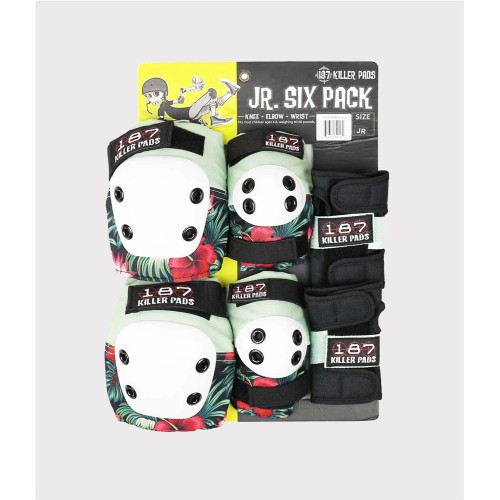 187 SIX PACK JUNIOR HIBISCUS