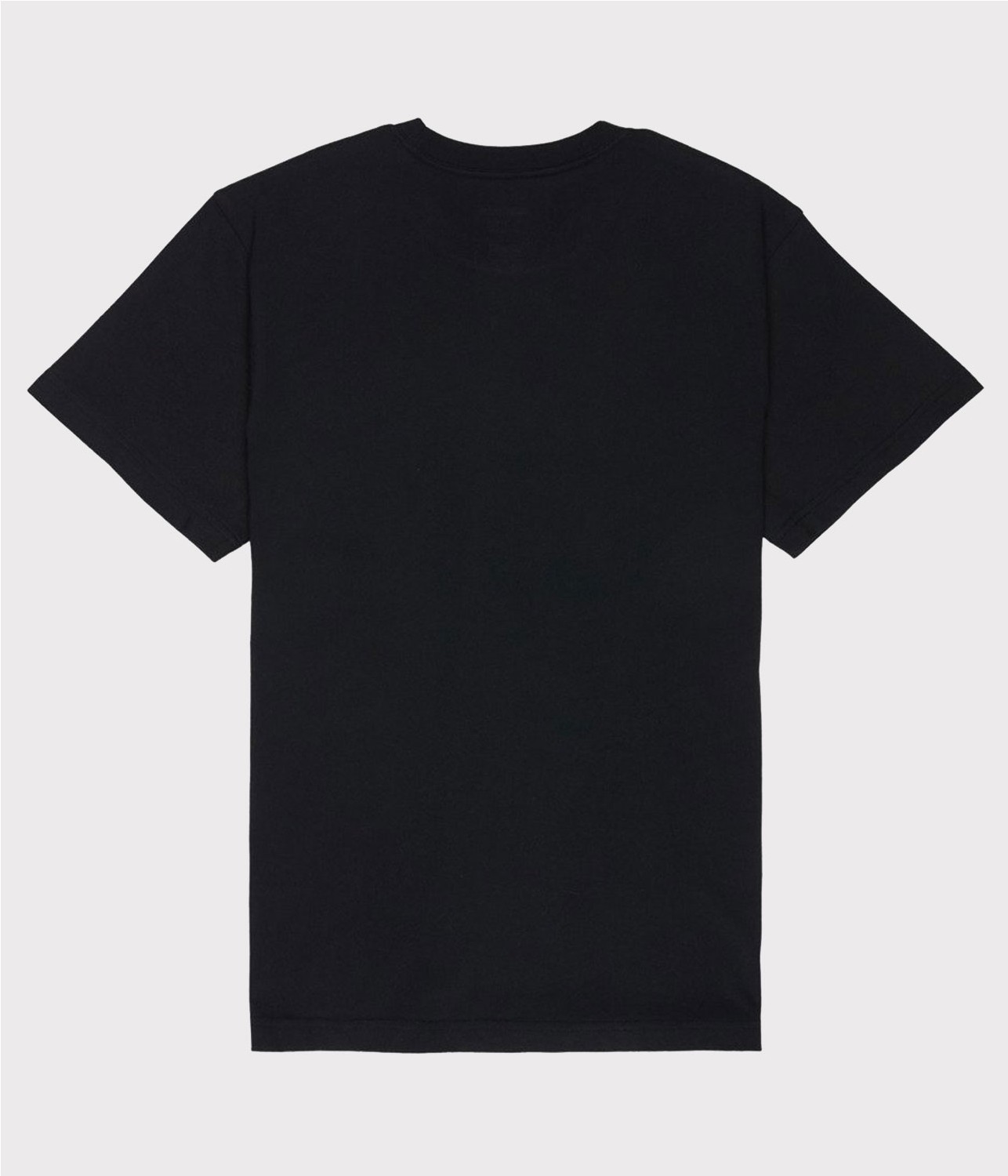 RVCA BIG RVCA TEE