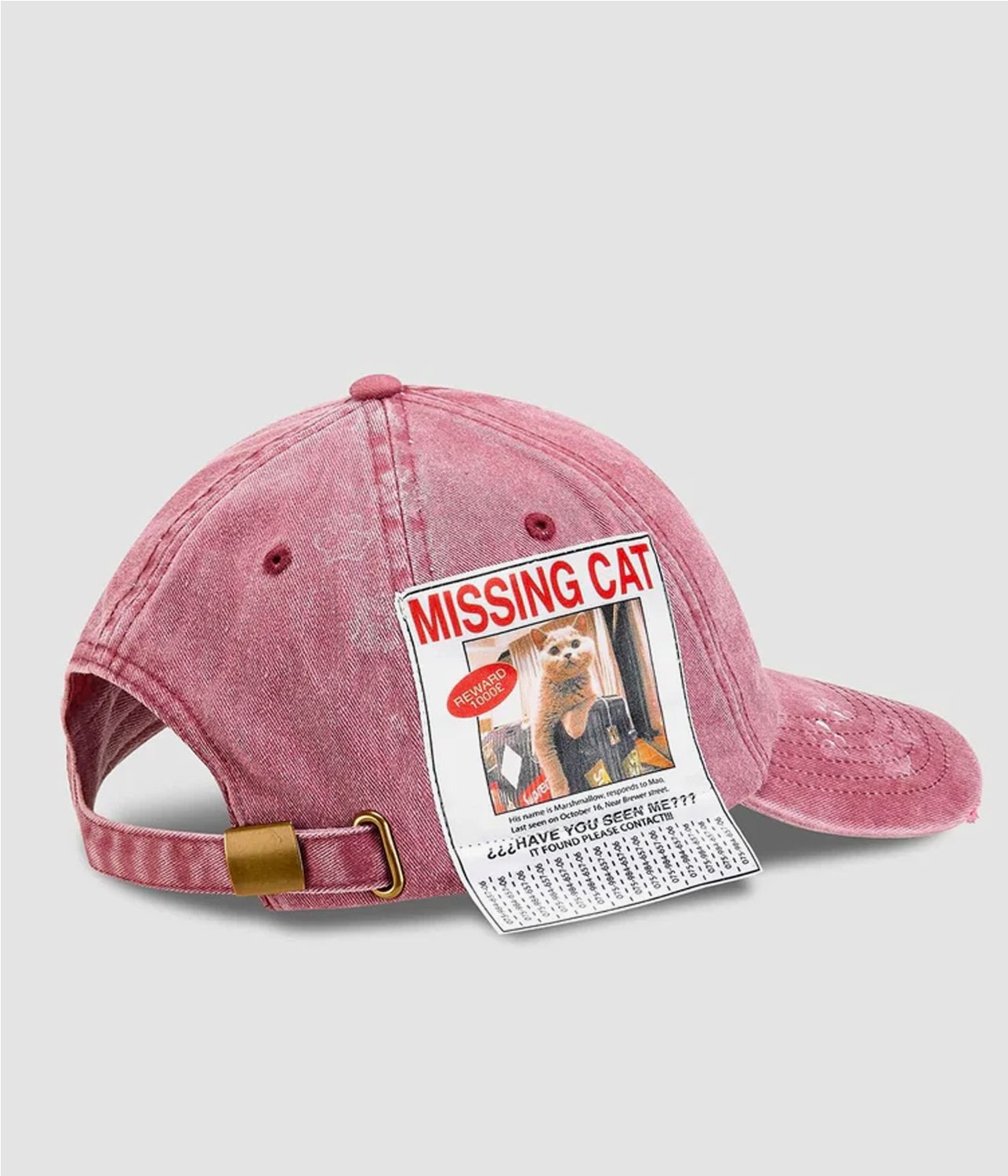 SSSTUFFF MISSING CAT CAP