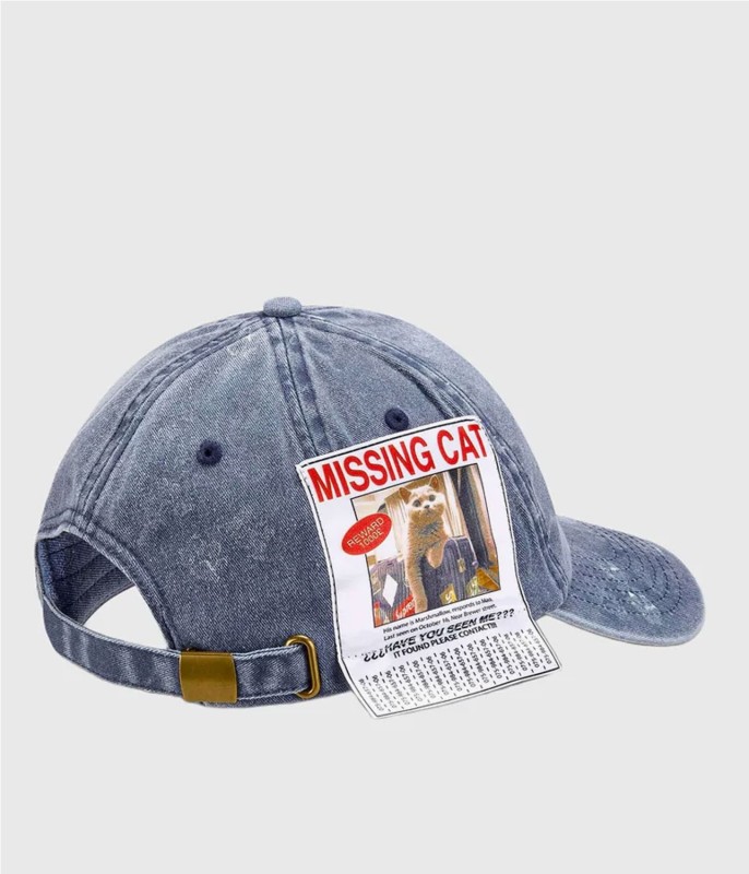 SSSTUFFF MISSING CAT CAP 2
