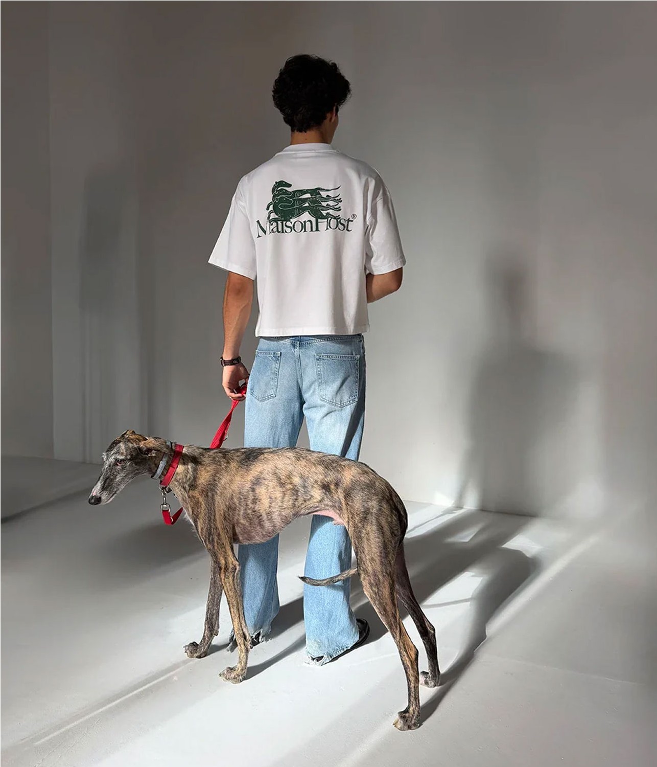 MAISON HOST GALGO TEE