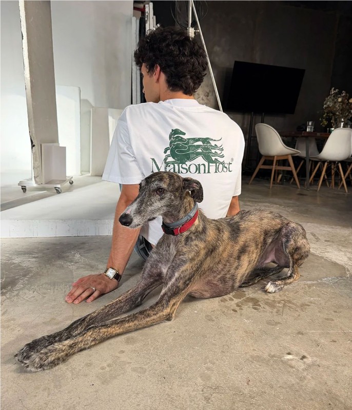 MAISON HOST GALGO TEE