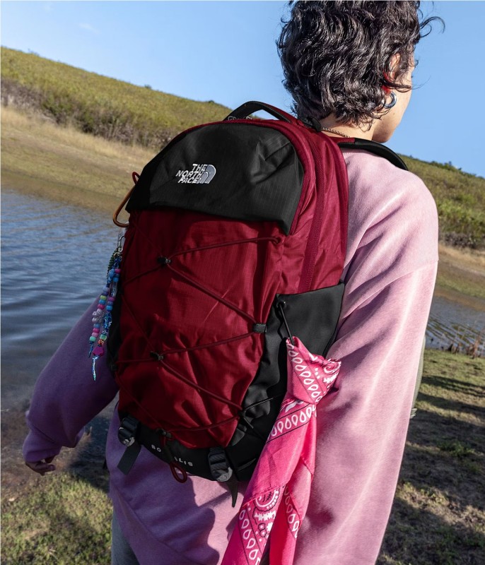 THE NORTH FACE BOREALIS BCKP