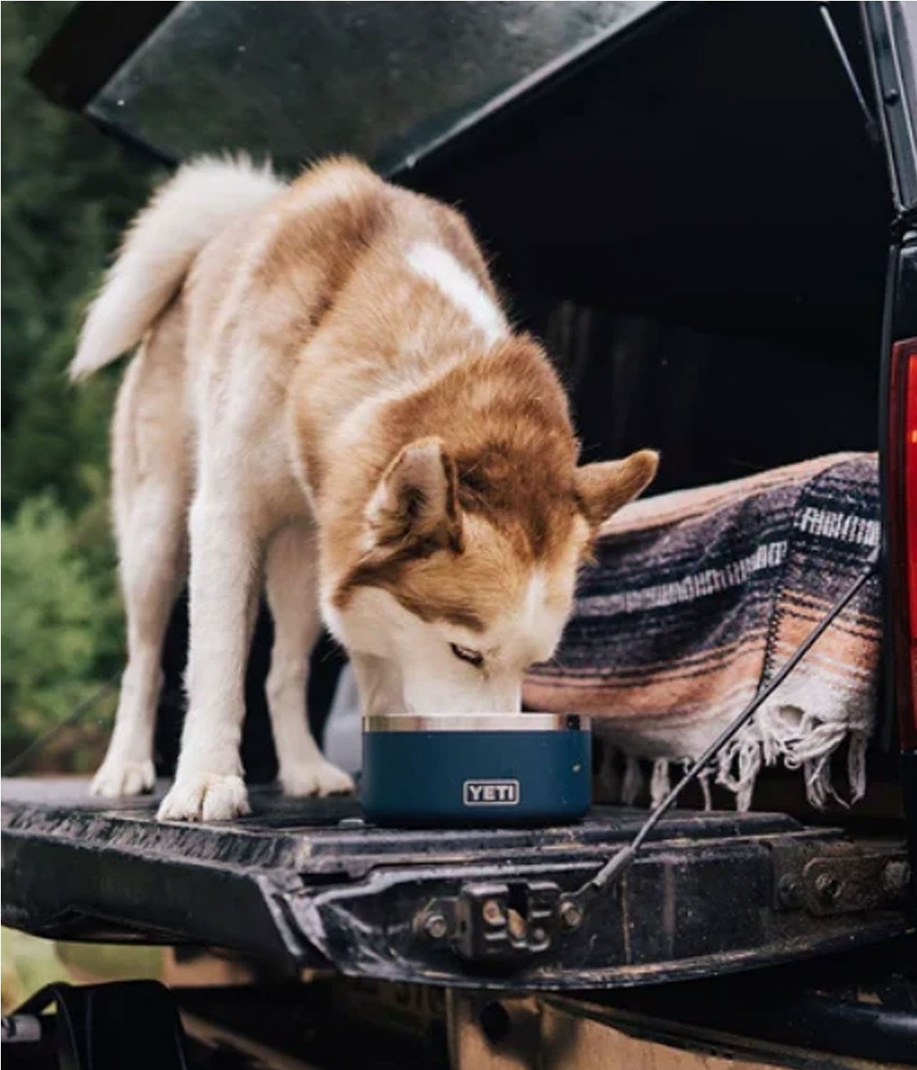 YETI BOOMER 4 DOG BOWL