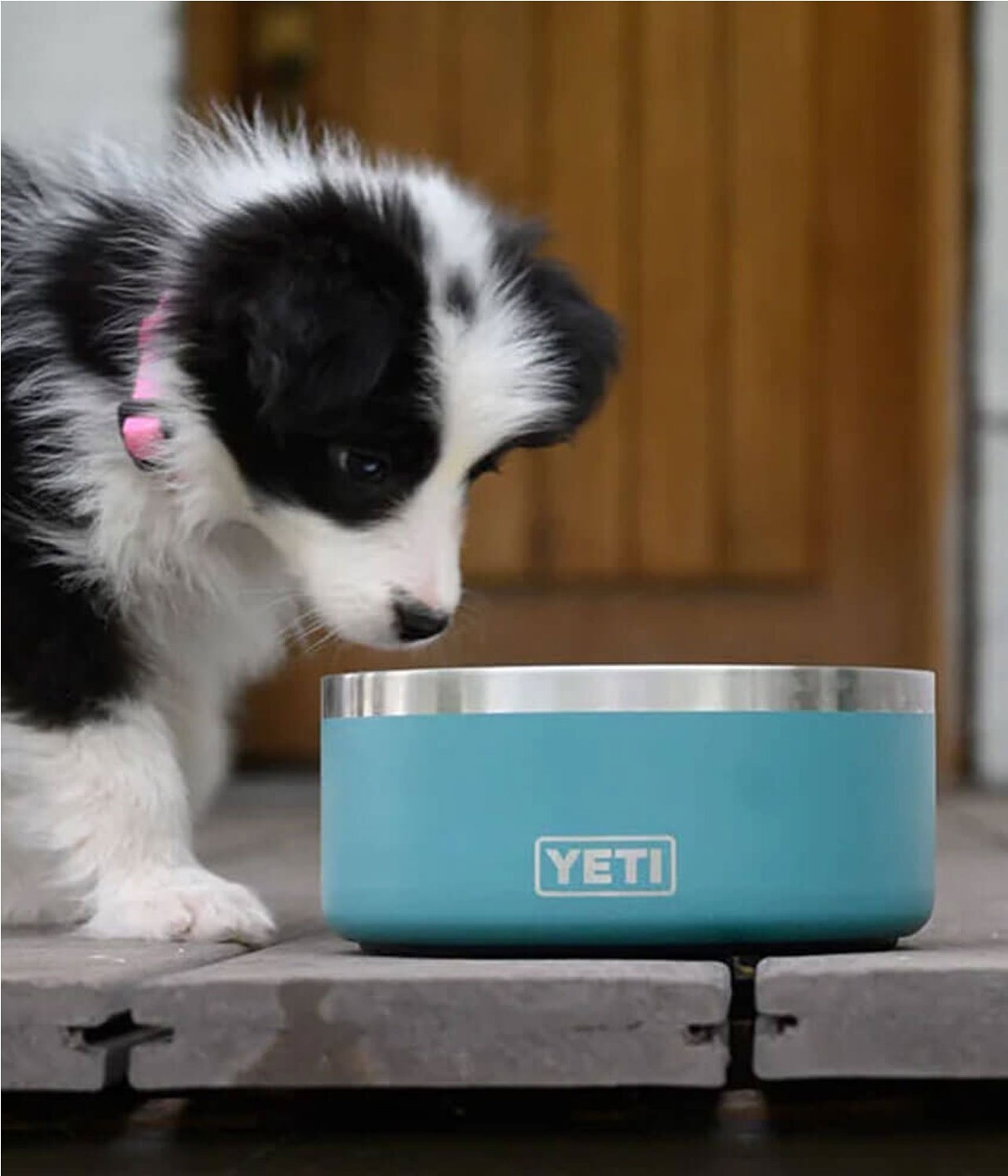 YETI BOOMER 4 DOG BOWL