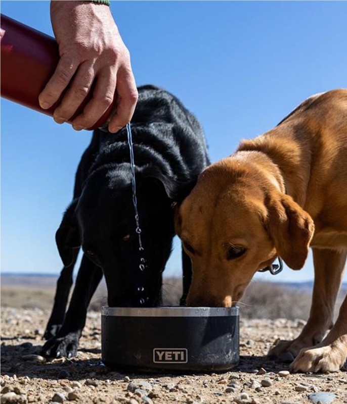 YETI BOOMER 8 DOG BOWL