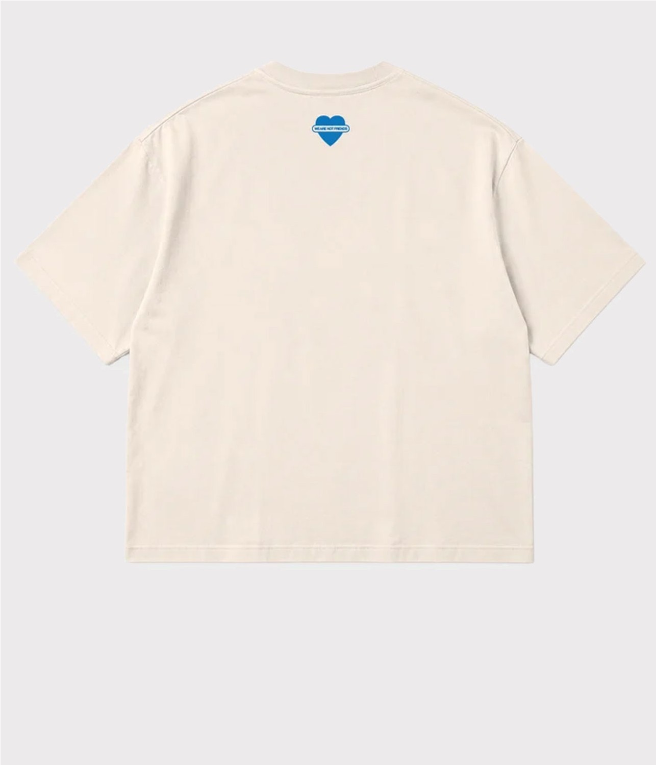 WE ARE NOT FRIENDS SOFTWARE T
