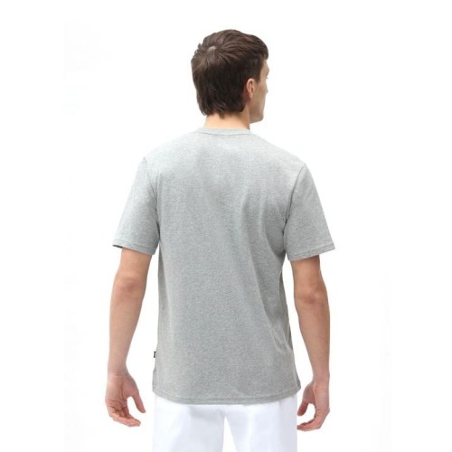 DICKIES ICON LOGO TEE GRIS 2