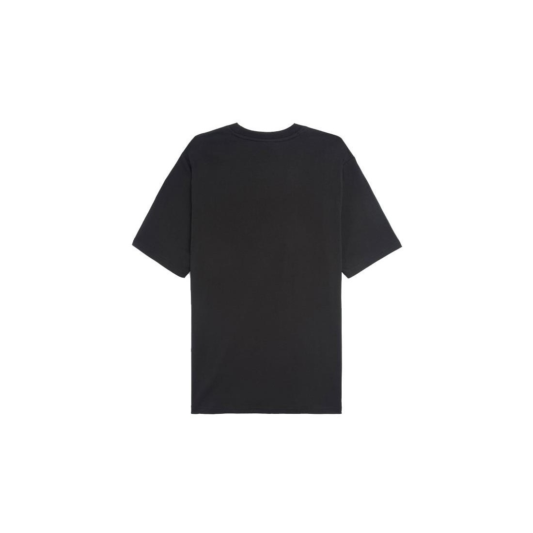 DICKIES SS MAPLETON TEE NEGRO