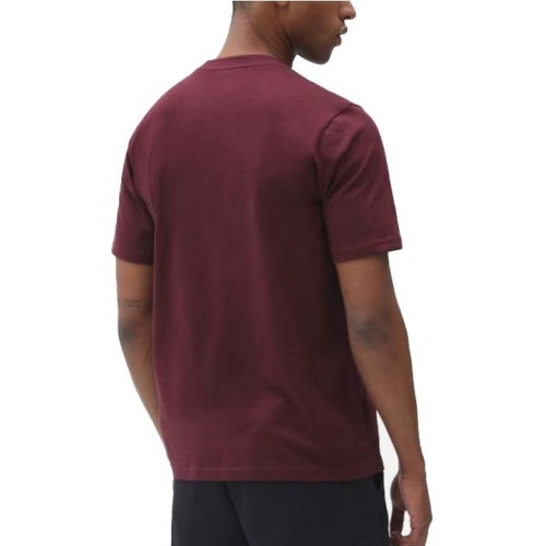 DICKIES ICON LOGO TEE GRANATE